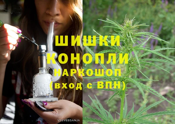 прущие грибы Аркадак