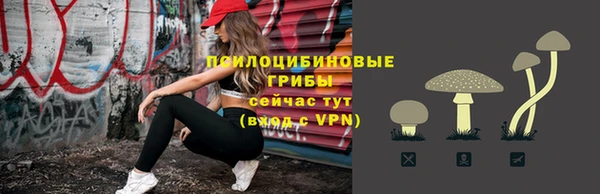 спиды Армянск
