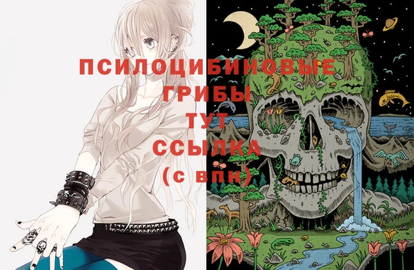 spice Арсеньев