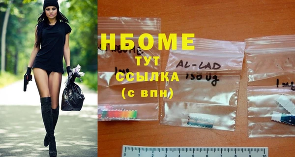 прущие грибы Аркадак