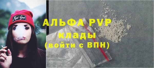 прущие грибы Аркадак