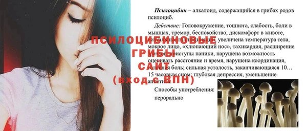 прущие грибы Аркадак