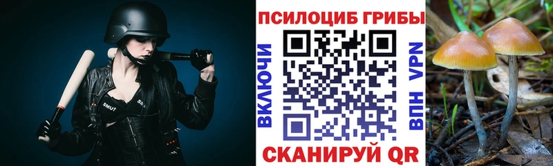 Галлюциногенные грибы мухоморы  даркнет официальный сайт  Балей  где найти наркотики 